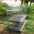 Automatic Best Selling Full Automatic Broiler Chicken Cage in China